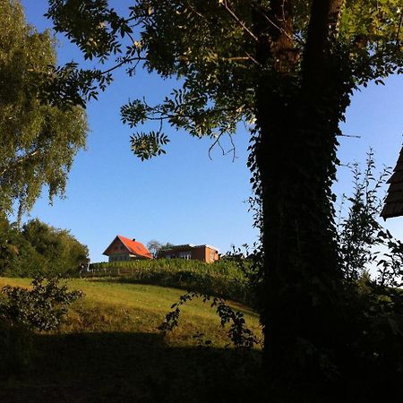 Ferienhaeuser Im Weingarten Fehring Exterior foto