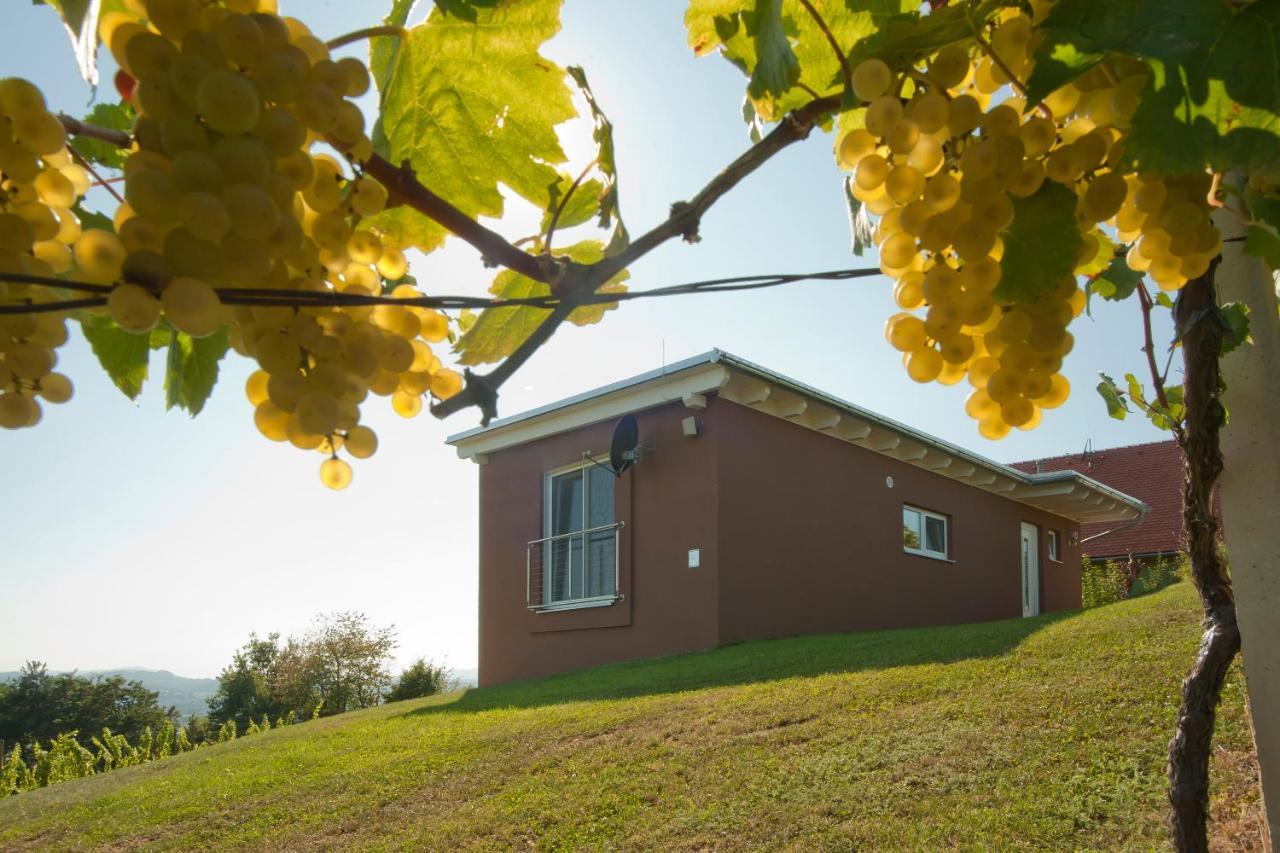 Ferienhaeuser Im Weingarten Fehring Exterior foto