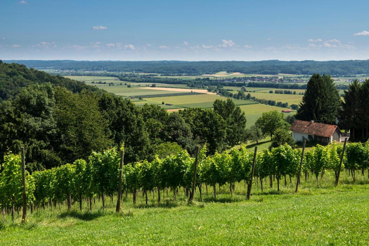Ferienhaeuser Im Weingarten Fehring Exterior foto